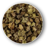 गोक्षुरा